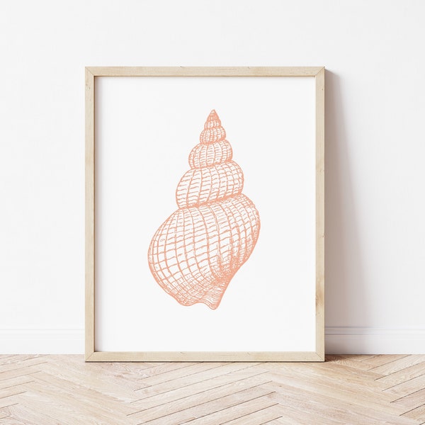 Sea Shell Print Beach Home Decor, Seaside Nautical print, Coastal Wall Art, Blush Nursery Art, Neutral Beach Art, Blush Terracotta Printable