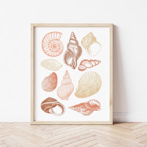 Könnte beinhalten: Ein gerahmter Druck mit einer Sammlung verschiedener Muscheln in Rosa-, Orange- und Beigetönen. Die Muscheln sind in einem detaillierten Vintage-Stil gezeichnet.