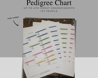Pedigree Chart up to 4th Great Grandparents