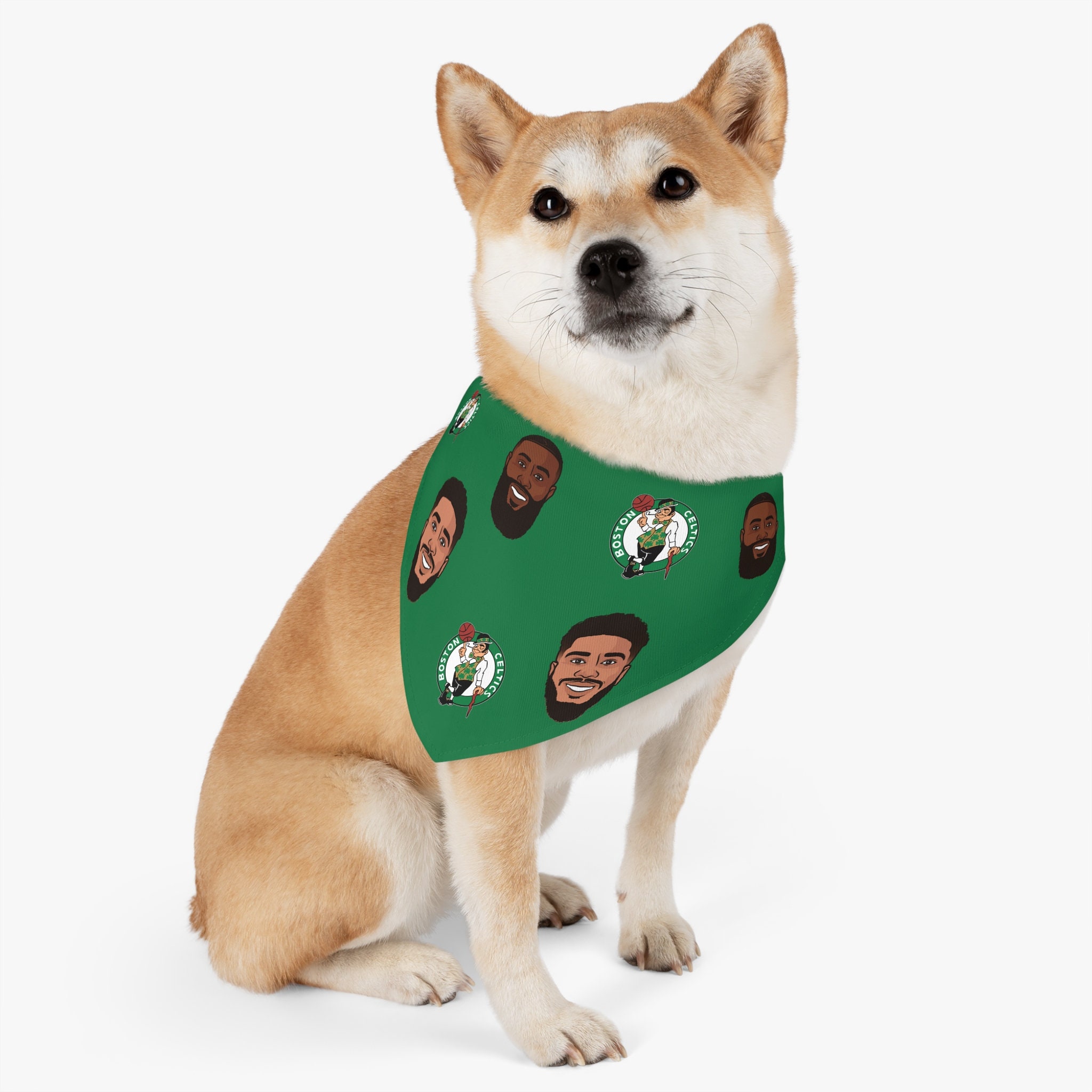 jayson tatum dog jersey