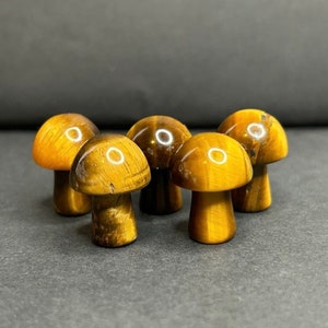Tiger’s Eye Mushroom Carving | Yellow Tigers Eye Crystal Mini Mushroom | 2CM Mini Mushroom Chatoyant Crystal
