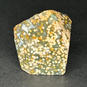 Ocean Jasper Mini Freeform | Druzy Colorful Orbicular Sea Jasper Polished Crystals | Unique Jasper Crystal Free Form