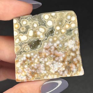 Ocean Jasper Mini Freeform | Druzy Colorful Orbicular Sea Jasper Polished Crystals | Unique Jasper Crystal Free Form