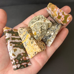 Ocean Jasper Mini Freeform | Colorful Orbicular Sea Jasper Polished Crystals | Unique Jasper Crystal Free Form