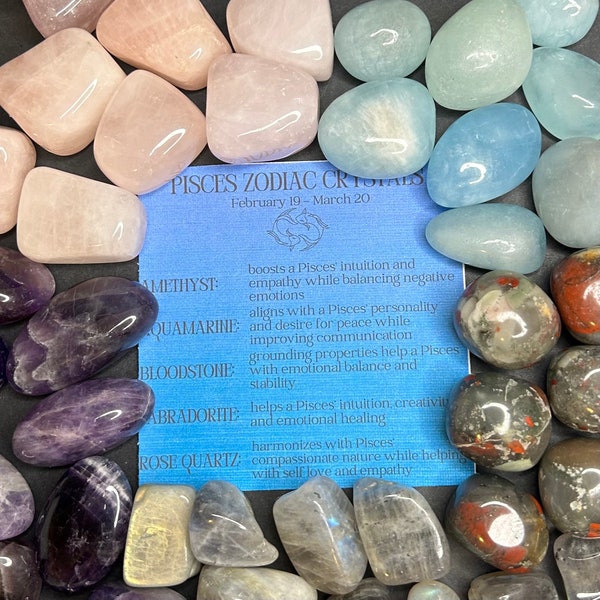 Pisces Crystal Set | Pisces Zodiac Crystals | Zodiac Tumble Set | Aquamarine, Bloodstone, Amethyst, Rose Quartz, Labradorite