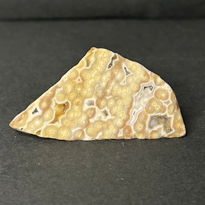 Ocean Jasper Mini Freeform | Colorful Orbicular Sea Jasper Polished Crystals | Unique Jasper Crystal Free Form