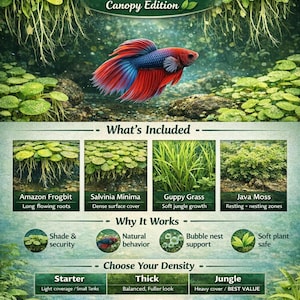 May include: An advertisement for Trop Shop Squad's Betta Bliss Canopy Edition. The image features a vibrant red and blue Betta fish, aquatic plants, and text describing the product's features, including Amazon Frogbit, Guppy Grass, and Java Moss.