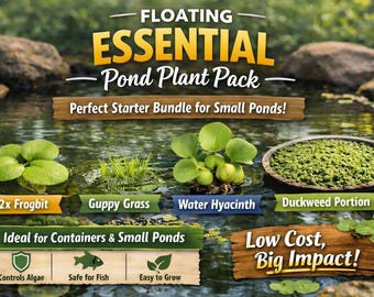 Floating Essential Pond Plant Pack | Frogbit, Guppy Grass, Water Hyacinth & Duckweed | Live Floating Pond Plants