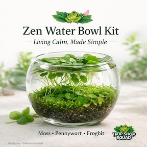 May include: A clear glass water bowl kit with the text "Zen Water Bowl Kit" and "Living Calm, Made Simple". The bowl contains green moss, pennywort, and frogbit. A green frog illustration is at the top.