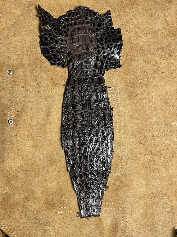 Glossy Dark Brown Alligator Belly Leather: Exotic Hide for DIY Crafts