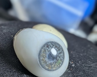 Antique Glass Prosthetic Eye 23mm Hand Blown Full Globe Realistic Iris Medical Oddity 19th Century Style Collectible. Perfect Condition