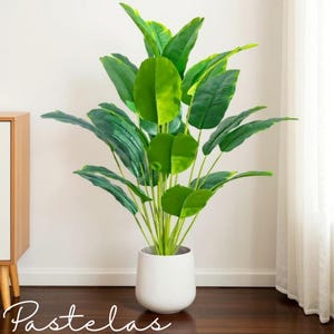 Könnte beinhalten: Eine große Kunstpflanze mit leuchtend grünen Blättern in einem weißen Topf. Die Pflanze hat mehrere große, oval geformte Blätter und steht vor einer weißen Wand und einem dunklen Holzboden. Das Wort "Pastelas" ist unten in Kursivschrift geschrieben.
