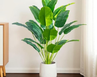 Op de afbeelding: Een grote kunstplant met heldergroene bladeren in een witte pot. De plant heeft meerdere grote, ovaalvormige bladeren en staat tegen een witte muur en een donkere houten vloer. Het woord "Pastelas" staat onderaan in cursief.