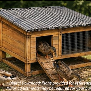 May include: A wooden duck house with a corrugated metal roof, featuring a ramp and wire mesh enclosure. Several ducks are present, some inside the house. The text reads: Digital Download: Plans provided for reference. Minor adjustments may be required for your build.