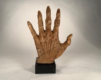 Anatomical Hand Walnut Carving