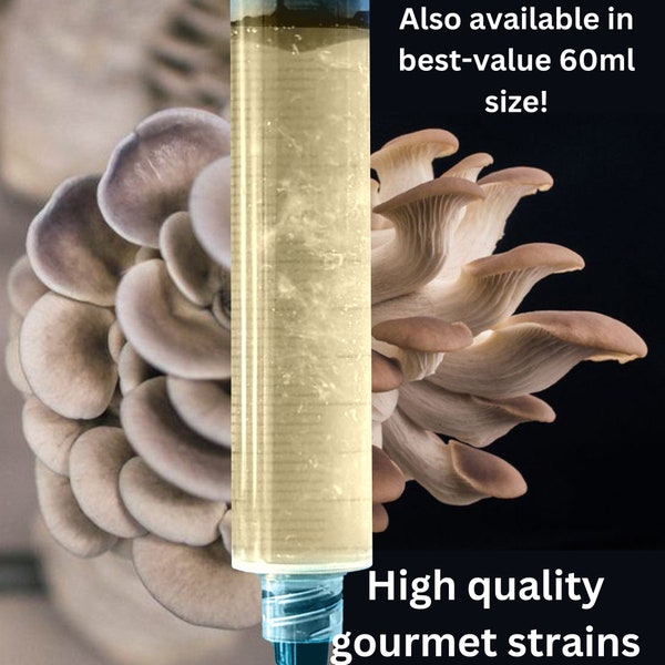 Gourmet Mushroom Liquid Culture - High Quality Mycelium Syringe for Mushroom Growing - Offered in 10ml & 60ml Size - Free Shipping