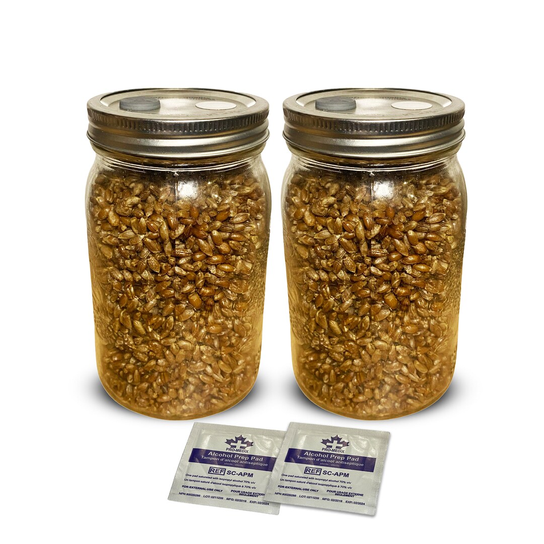 Pack of 2 1000ml Rye Grain Jars for Mushroom Spawn Selfhealing