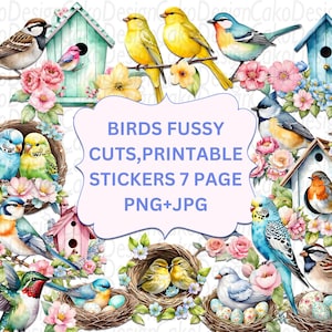 Découpes difficiles d'oiseaux, autocollants imprimables d'oiseaux, kit de journal indésirable d'oiseaux, éphémères d'oiseaux