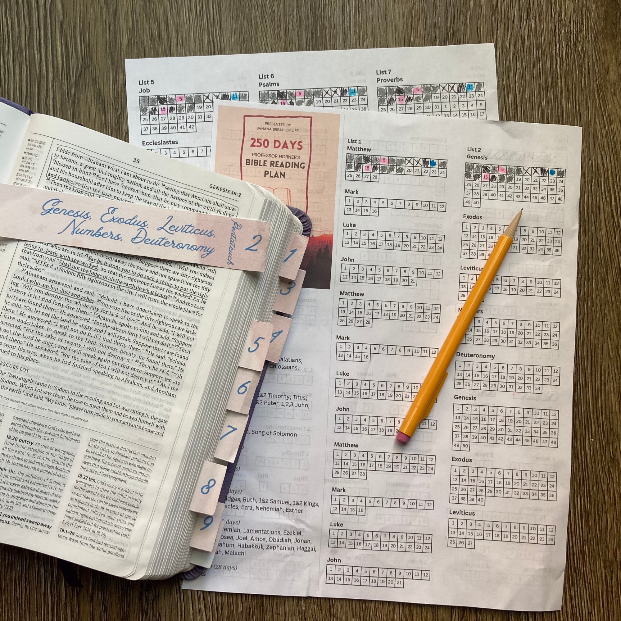 Bible Bookmark Trackers Professor Grant Horner's Reading System Daily