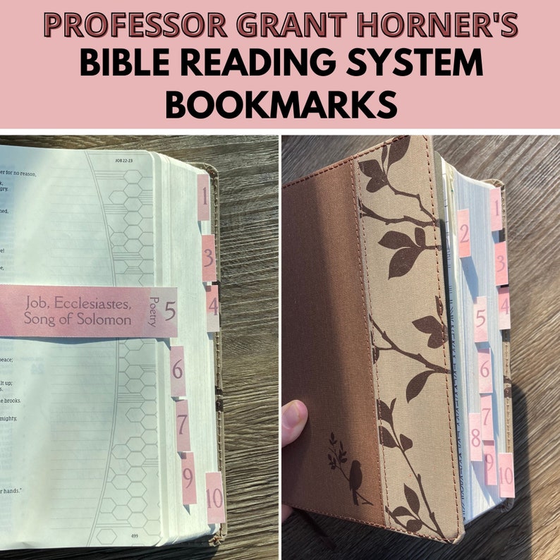 Bible Bookmark Reading System | Professor Grant Horner's | Daily Bible Reading | Bible Reading ...