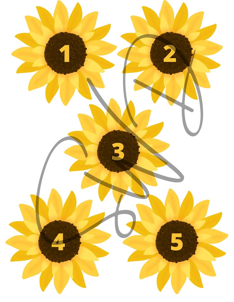 Sunflower Seed Counting Activity Etsy