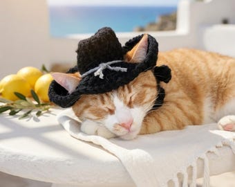 Crochet Cowboy Hat Pattern PDF, Pet Hat Tutorial, Amigurumi Animal , DIY Cat Dog Costume Accessory, Instant Download