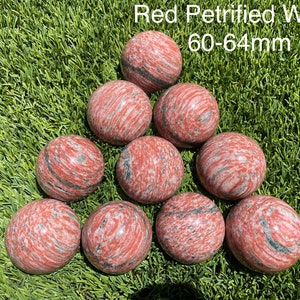 Red Petrified Wood Sphere Ball Orb Random Selection US Seller