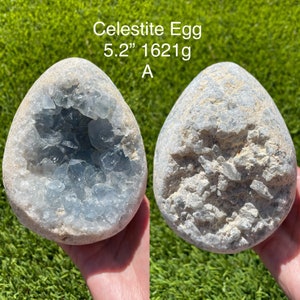 XL Blue Druzy Celestite Celestine Egg Raw Geode Cluster US Seller