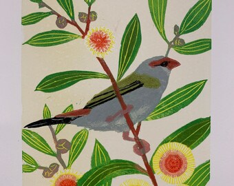 Red Browed Finch