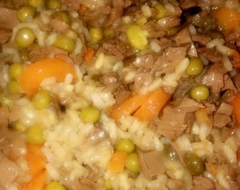 Homemade dog food