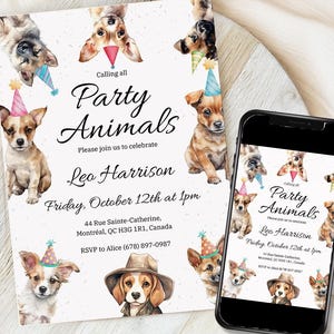 Quirky Dog Birthday Pawty Invitation, Let’s Pawty Invite, puppy bday party invite, digital birthday invitation dog, Editable invitation
