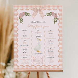 Silly Goose Birthday Milestone Board Template, One Silly Goose Theme, Girl 1st Birthday Milestone Sign, Editable Poster, Floral Pink Gingham