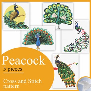 The ornate peacock of the genus of pheasant birds. Simple cross stitch pattern Instruction Embroidery