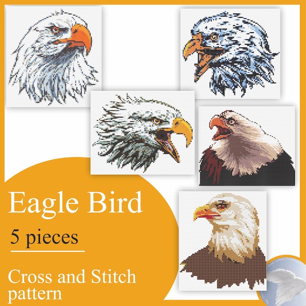 Representative of the genus of birds of prey Eagle. Cross Stitch Pattern Embroidery Instruction Canvas.