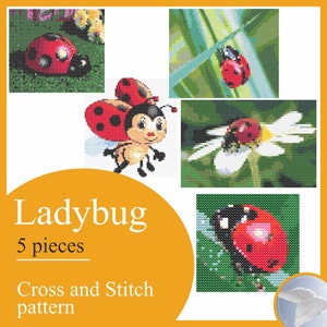 Ladybug bright red color with white specks meadow beetle Simple cross stitch pattern Instruction Embroidery