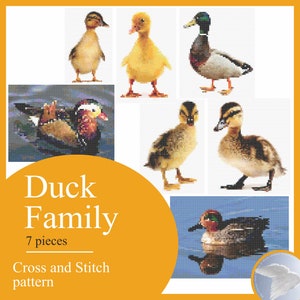 Ducks and ducklings Family Cross Stitch Pattern Embroidery Instruction