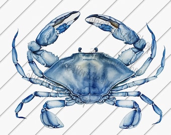Blue Crab png, Clip art png, Ocean Lover, Crab Shirt, Summer png, Sublimation Designs Downloads, Beach Shirt png