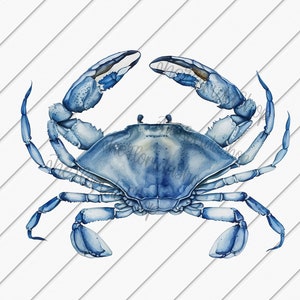 Blue Crab png, Clip art png, Ocean Lover, Crab Shirt, Summer png, Sublimation Designs Downloads, Beach Shirt png
