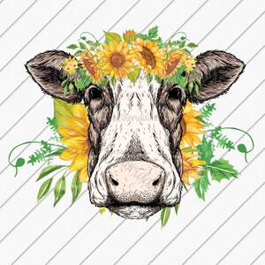 Sublimation Designs Downloads, Sunflower Cow sublimation png, Western Cow Design, Country Sublimation, Funny Cow png, Western png