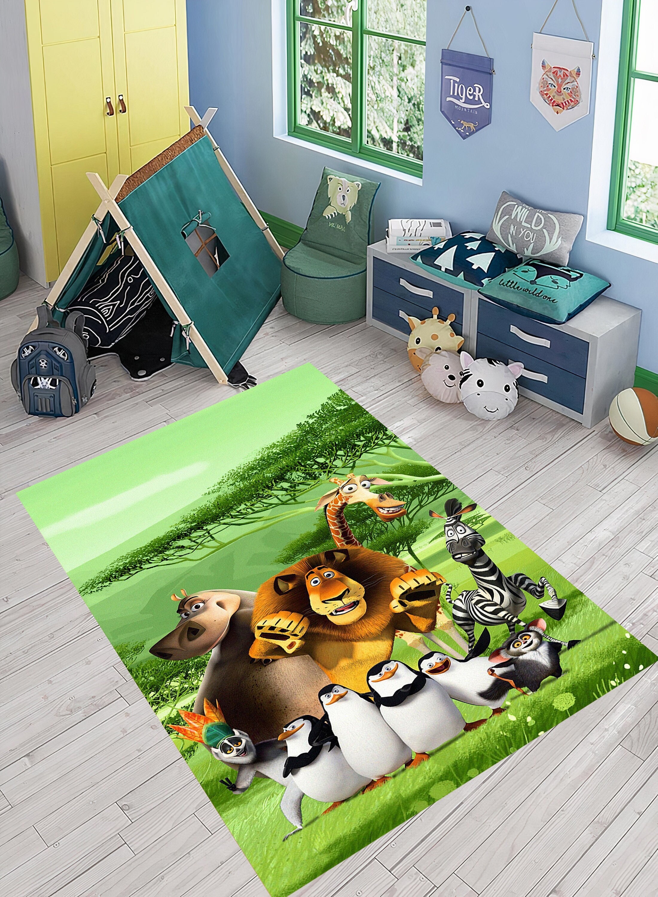 Rug From Madagascar