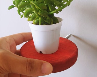 Wooden floating shelf,Plant Stand,Floating Plant Stand,Floating Wall Shelves,Circle Shelves,Round wall shelf,Shelves,red shelf,yellow shelf