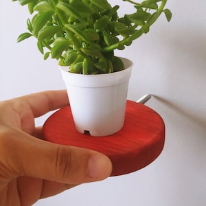 Wooden floating shelf,Plant Stand,Floating Plant Stand,Floating Wall Shelves,Circle Shelves,Round wall shelf,Shelves,red shelf,yellow shelf