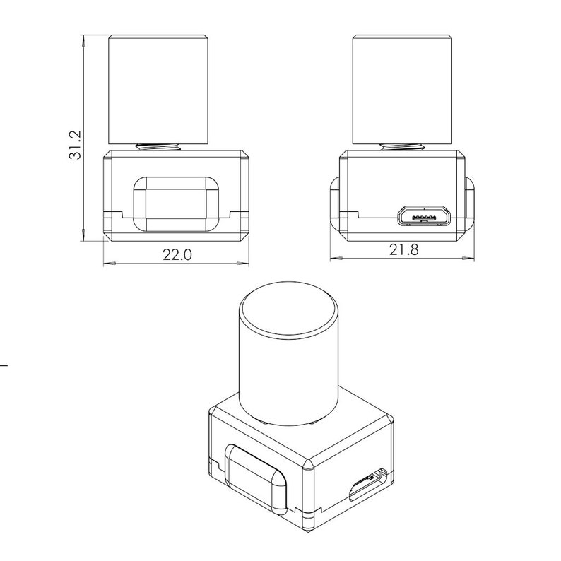 May include: Technical drawing of a rectangular device with a cylindrical top. The device is shown from multiple angles, with dimensions in millimeters: 31.2 mm high, 22.0 mm wide, and 21.8 mm wide. The design includes a rectangular opening and a port.