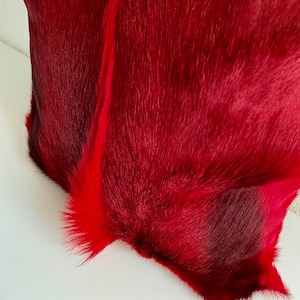 May include: A close-up of a red fur hide with a dark brown undertone. The fur is soft and fluffy, and the hide is folded in half.