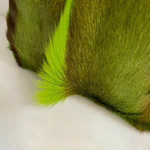 May include: Close-up of a green and brown fur fabric. The fur is soft and fluffy, with a gradient of color from dark green to light green.