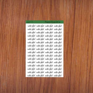 May include: A sheet of white paper with the text "Water Plant Scrun" and "PaperQuestCo" printed on it. The sheet is filled with the repeated phrase "water plant" written in cursive.