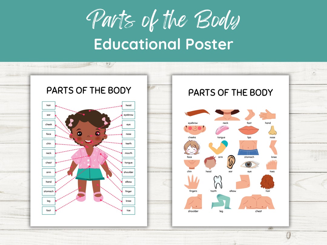 Parts of the Body Educational Poster. Human Anatomy. Homeschool ...