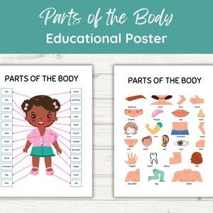 Educatieve poster van delen van het lichaam. Menselijke anatomie. Thuisschool. Wetenschapsdecor. Inrichting van het klaslokaal. Anatomiegrafiek voor kinderen. Biologie kunst aan de muur.