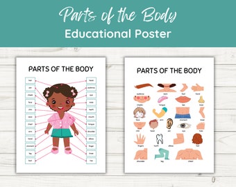 Póster de anatomía: Partes del cuerpo humano, Ciencia para la educación en casa (Descarga digital)