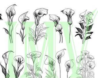 Lirio de cala SVG, paquete de flores de cala SVG, clipart botánico PNG, ramo de cala EPS, flores para invitación de boda, silueta